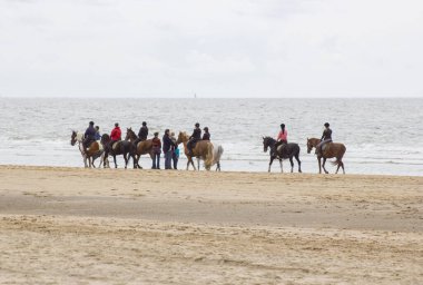 NOORDWIJK, NETHERLANDS - MAYIS 25 2015: Kuzey denizine yakın sahilde at binicileri