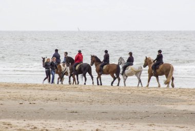 NOORDWIJK, NETHERLANDS - MAYIS 25 2015: Kuzey denizine yakın sahilde at binicileri