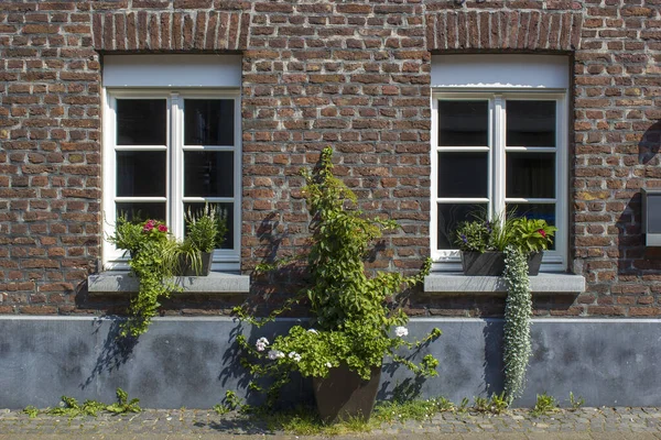 Ancienne Maison Allemande Avec Fenêtres Blanches Pots Fleurs Wachtendonk Rhénanie — Photo