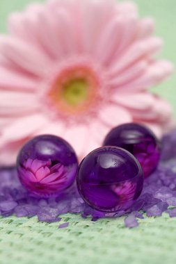 Yağ banyosu incileri ve gerbera çiçeği.