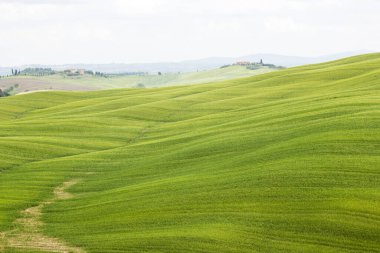 Baharda tipik yeşil Toskana manzarası