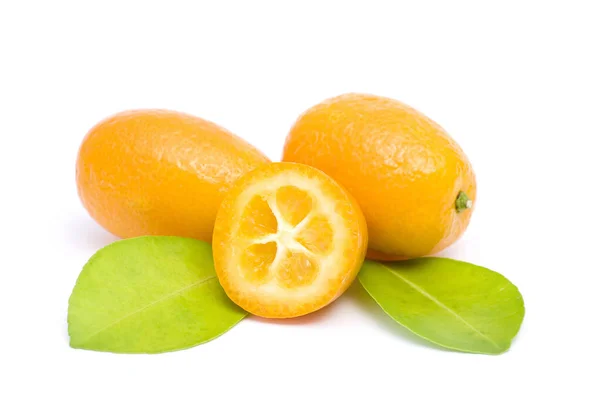 Kumquat Frutta Fresca Sfondo Bianco — Foto Stock