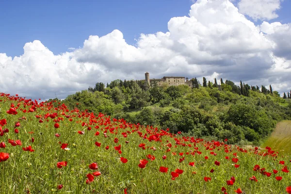 Spring Tuscany Landscape Poppies — Stock Photo, Image