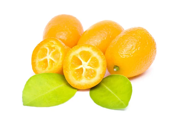 Kumquat Frutta Fresca Sfondo Bianco — Foto Stock