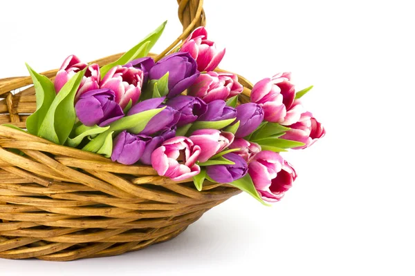 Colourful Tulips Basket — Stock Photo, Image