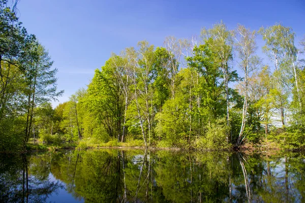 Niederrheinische Landschaft — Stockfoto