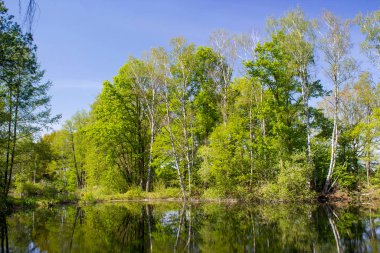 Alman kırsal alanı, Aşağı Ren Bölgesi