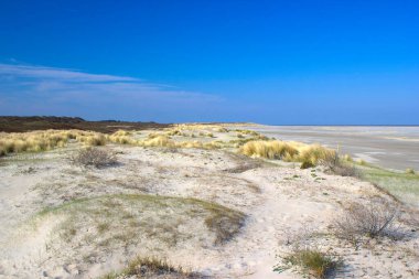 Kum tepeleri, Renesse, Zeeland, Hollanda