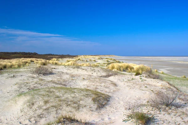 Dune Renesse Zelanda Paesi Bassi — Foto Stock