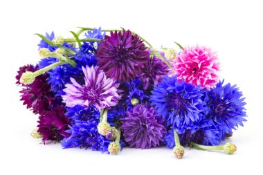 beyaz zemin üzerine Peygamber