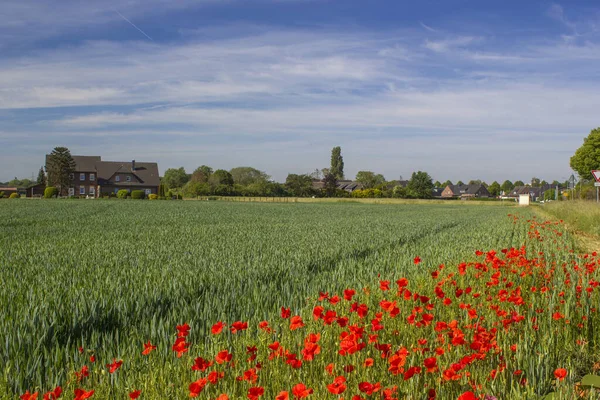 German Countryside Landscape Lower Rhine Region — Stock Photo, Image