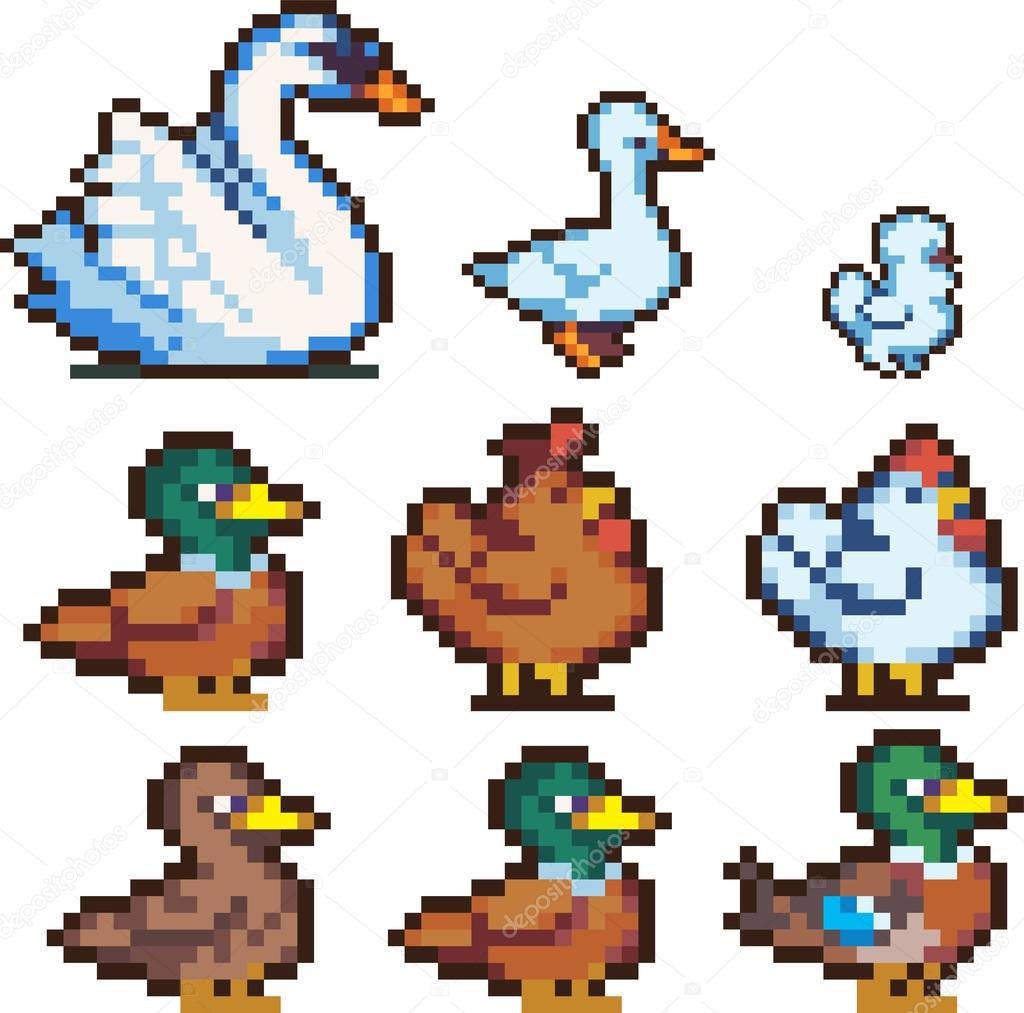 Set of pixel birds