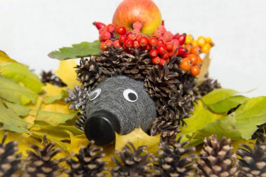 Geri dönüşüm: bir bahçe plastik şişe bir kirpi ve bir mantar yaptı. Kirpi koniler kendi elleri ile gelen.