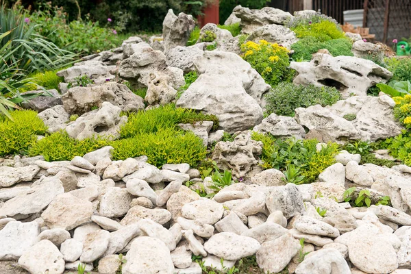 Patio trasero con fantásticos jardines, patio, valla y cama elevada, plantas resistentes a la sequía. Una cama de flores de piedras para suculentas — Foto de Stock