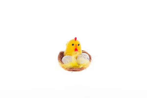 Recuerdo para Pascua - huevos de gallina eclosionan — Foto de Stock