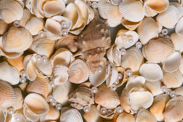 Conchas de mar dispersas y cuentas de vidrio de colores. Perlas Perlas en conchas, recuerdos de las vacaciones junto al mar — Foto de Stock