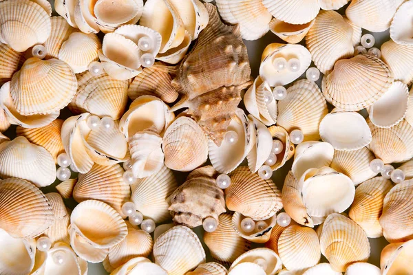 Verstreute Muscheln und farbige Glasperlen. Perlen in Muscheln, Erinnerungen an den Urlaub am Meer — Stockfoto