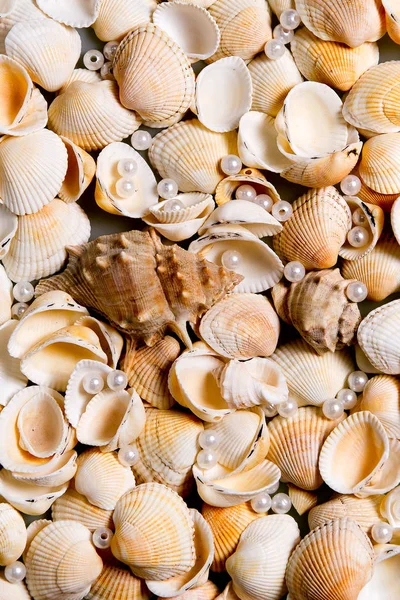 Conchas dispersas e contas de vidro coloridas. Pérola Pérolas em conchas, memórias do feriado junto ao mar — Fotografia de Stock