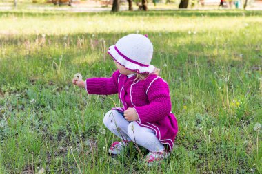 Çocuk, küçük bir kız bir karahindiba üzerinde üfleme. Baharda Parkta yürümek. Çocukluk.