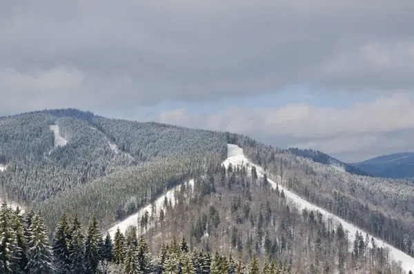 Panorama der verschneiten Berge und Wälder in einem Skigebiet. Wetter in den Bergen. — Stockfoto