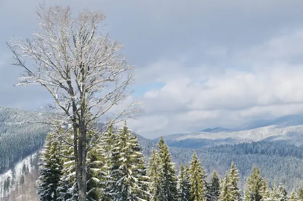 Panorama de montañas nevadas y bosque en una estación de esquí. Clima en las montañas . — Foto de Stock