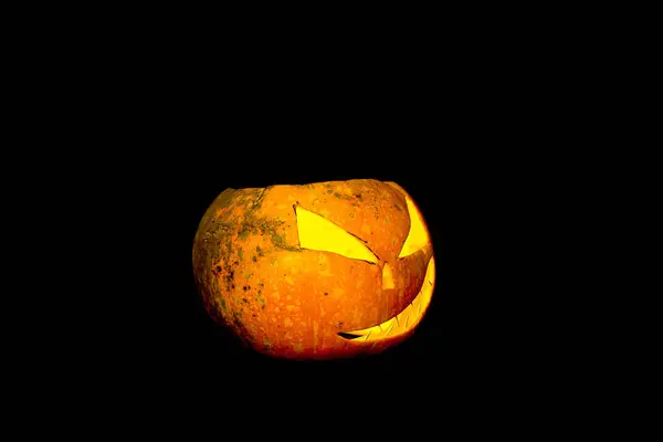 Fundo de Ação de Graças de Abóbora de Outono - abóboras cor de laranja sobre mesa de madeira. Abóbora sobre um fundo preto. Produto de outono. Abóbora esculpida para o Halloween . — Fotografia de Stock