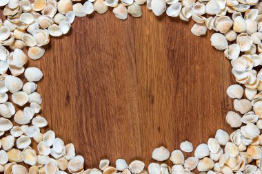 Deniz kabukları kum üzerinde. Yaz plaj arka plan. Üstten Görünüm. Kabukları ahşap bir masa - bir hatırlatma yaz tatili üzerinde.