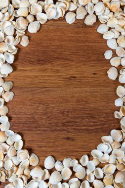 Deniz kabukları kum üzerinde. Yaz plaj arka plan. Üstten Görünüm. Kabukları ahşap bir masa - bir hatırlatma yaz tatili üzerinde.