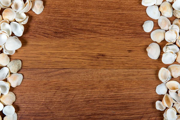 Conchas marinhas na areia. Fundo de praia de verão. Vista superior. Seashells em uma mesa de madeira - um lembrete das férias de verão . — Fotografia de Stock