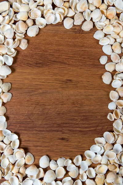 Conchas marinhas na areia. Fundo de praia de verão. Vista superior. Seashells em uma mesa de madeira - um lembrete das férias de verão . — Fotografia de Stock