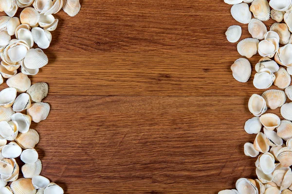 Sea shells on sand. Summer beach background. Top view. Seashells on a wooden table - a reminder of the summer vacation. Royalty Free Stock Photos