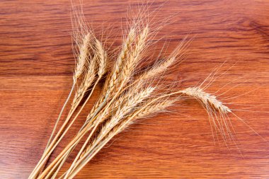 Spikelets buğday simit - doğurganlık ve zenginlik sembolü.