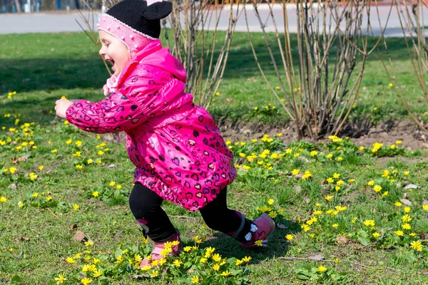 Enfant, petite fille recueille des fleurs jaunes pour une promenade dans un parc de printemps . — Photo