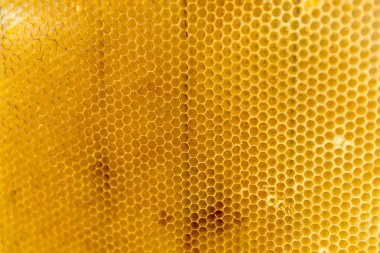 Balmumu çerçeve arı peteğin ile aromatik şifalı bal ile dolu.