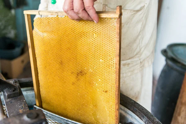 Produktion Honning Honningekstrakten Arbejd Biavler Healing Produkt Biavl Maj Blomsterhonning - Stock-foto
