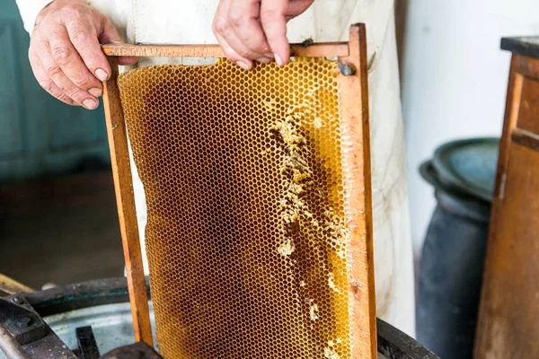 Productie van honing in de honing-extractor. Werken imker. Helende product van de bijenteelt. Mei, bloem honing. — Stockfoto