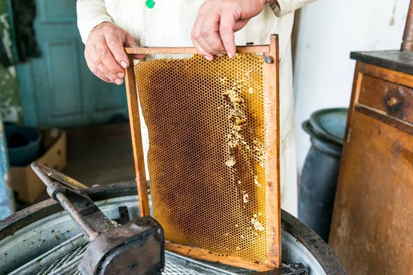 Produkce medu v medu extraktor. Práce včelaře. Léčivý produkt včelařství. Května, Květový med. — Stock fotografie