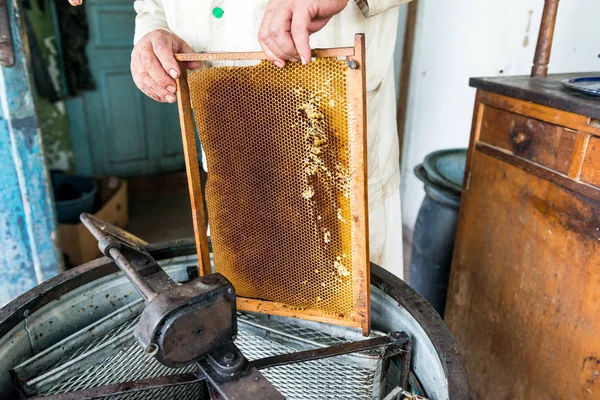 Production of honey in the honey extractor. Work beekeeper. Healing product of beekeeping. May, flower honey.