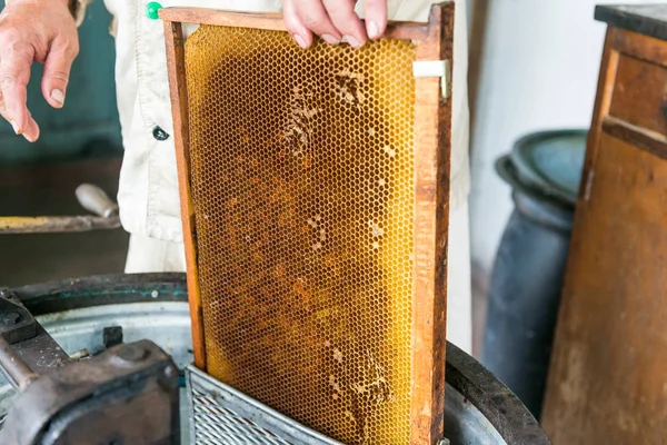 Produkce medu v medu extraktor. Práce včelaře. Léčivý produkt včelařství. Května, Květový med. — Stock fotografie