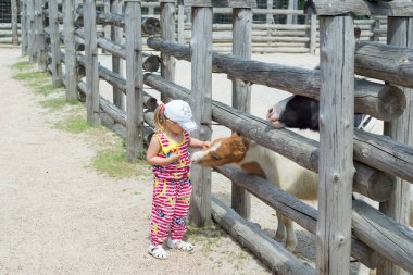Bir çocuk, küçük bir kız, bir hayvanat bahçesi çit üzerinden bir midilli at beslemeleri.