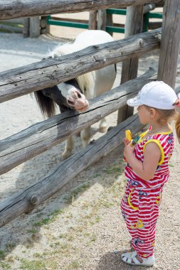 Bir çocuk, küçük bir kız, bir hayvanat bahçesi çit üzerinden bir midilli at beslemeleri.