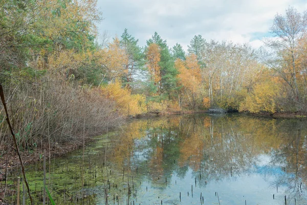 Lago de otoño en el bosque . —  Fotos de Stock