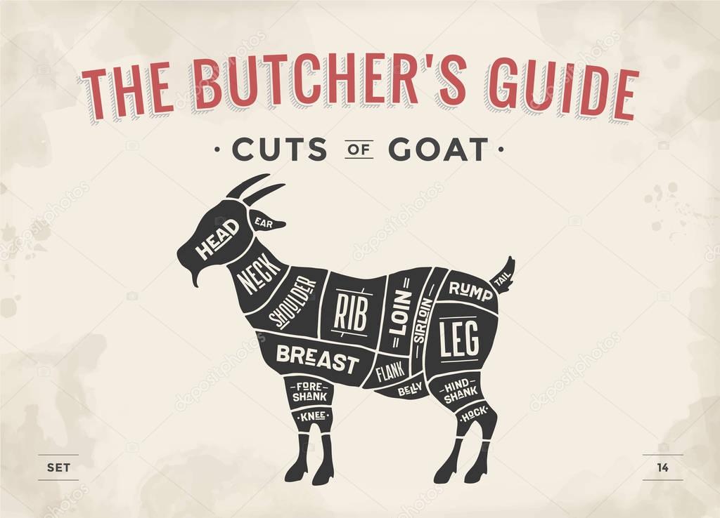 Poster Butcher diagram