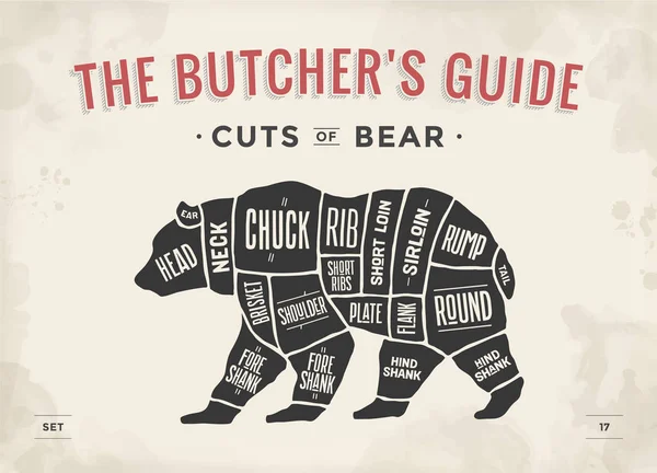Urso Corte Carne Carniceiro Diagrama Esquema Urso Vintage Tipográfico Desenhado —  Vetores de Stock