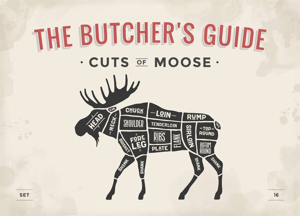 Cut of meat set. Poster Butcher diagram, scheme - Moose. Vintage typographic hand-drawn moose silhouette for butcher shop, restaurant menu, graphic design. Meat theme. Vector Illustration