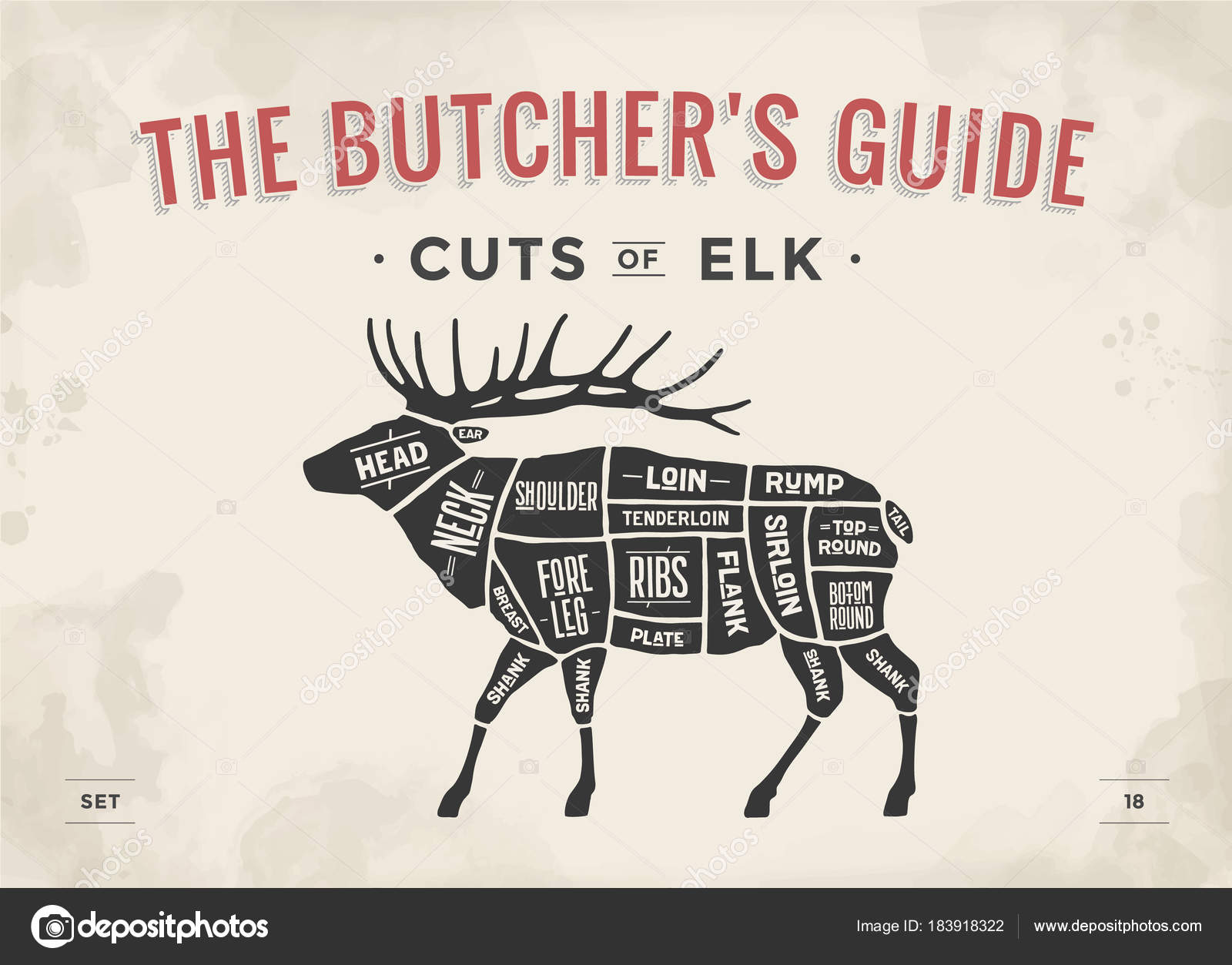 Elk Meat Cuts Chart Cut Meat Set Poster Butcher Diagram Scheme Elk Vintage Typographic Stock Vector C Foxysgraphic