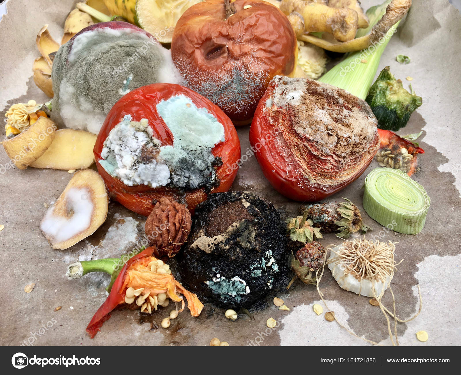 https://st3.depositphotos.com/6711728/16472/i/1600/depositphotos_164721886-stock-photo-different-sorts-of-rotten-fruits.jpg