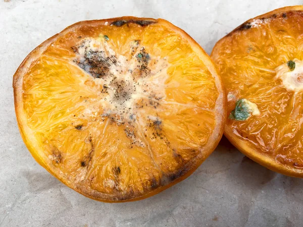 High angle view of halved rotten orange