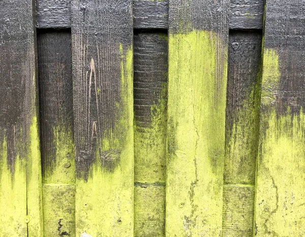 Πράσινο κάλυμμα στην παλιά ξύλινα και διαβρωμένες σανίδες — Φωτογραφία Αρχείου