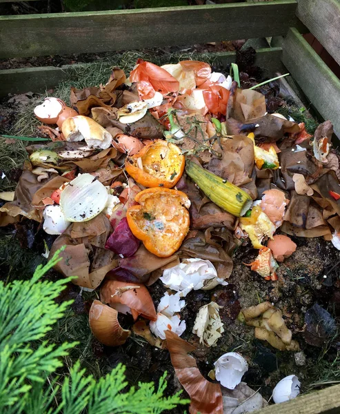 Fresh bio waste and compost with orange peels